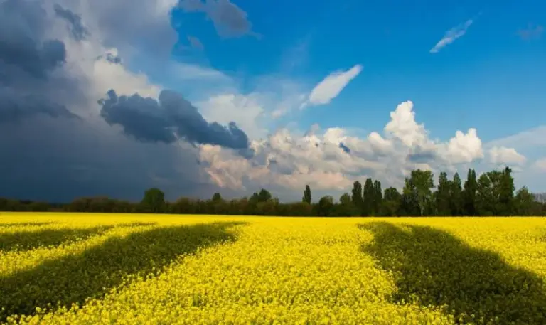 уніан — UA news
