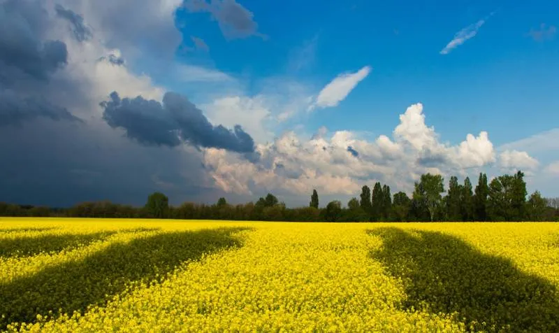 уніан — UA news