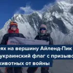 Вершина 2026