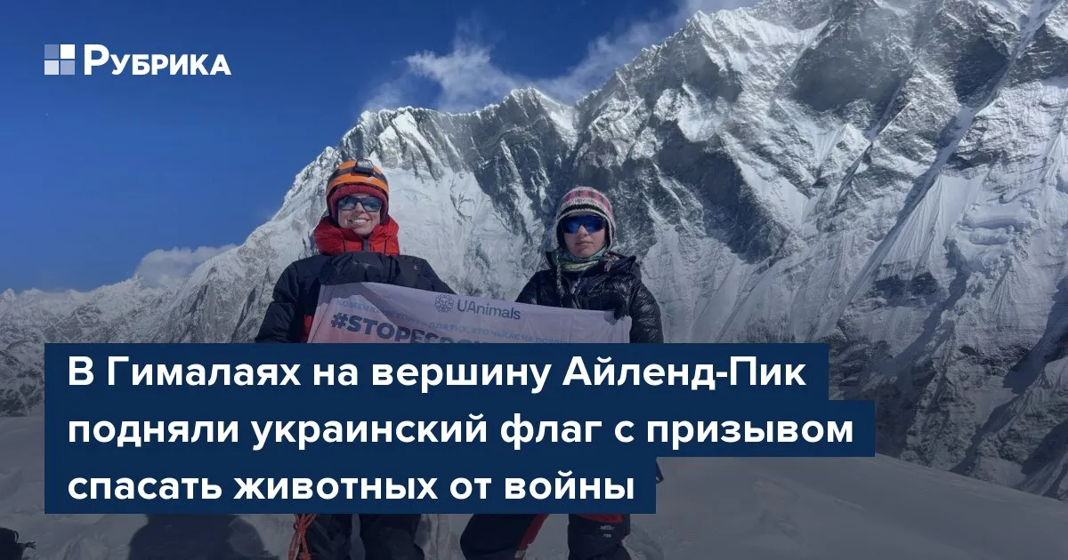 вершина 2026 — UA news